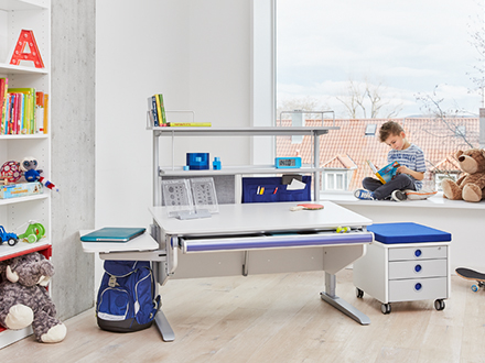 moll bandit������